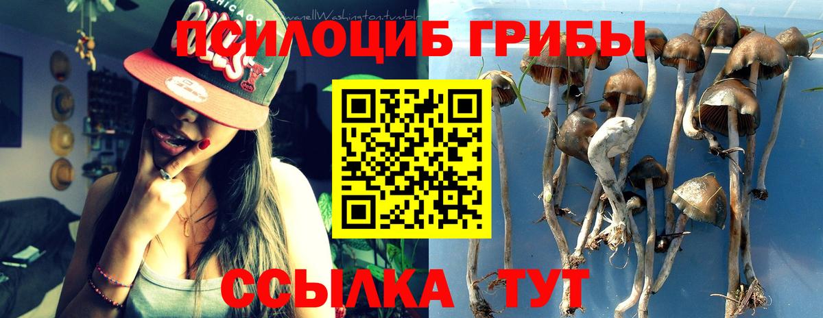 хочу   Вход с VPN  Добрянка  Галлюциногенные грибы Psilocybine cubensis 